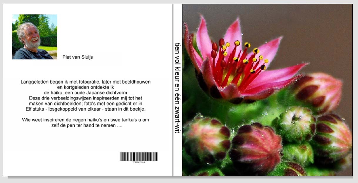 Cover van tien haiku's en een tanka