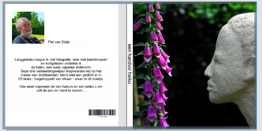 Cover van een handvol haiku